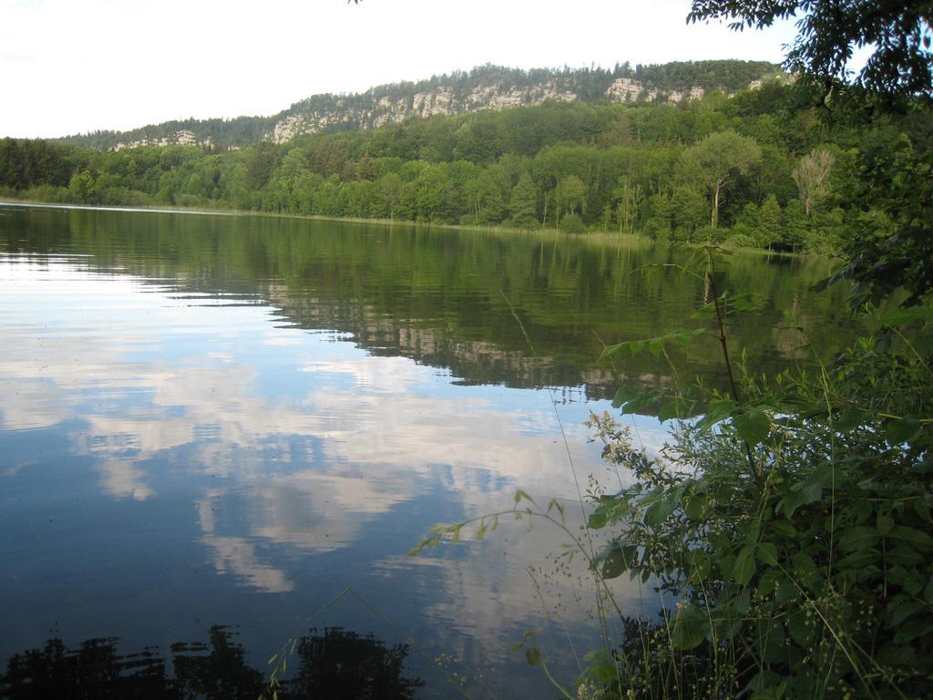 Auberge Du Herisson La Chaux-du-Dombief Buitenkant foto
